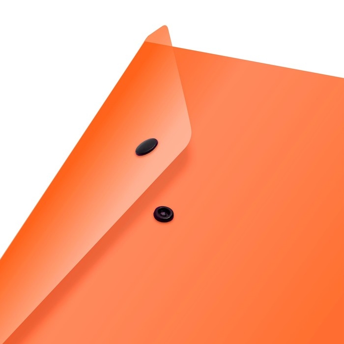 Набор папок-конвертов на кнопке 12 штук, А4, 180 мкм, Calligrata Neon, полупрозрачные, неоновый МИКС Набор папок-конвертов на кнопке 12 штук, А4, 180 мкм, Calligrata Neon, полупрозрачные, неоновый МИКС