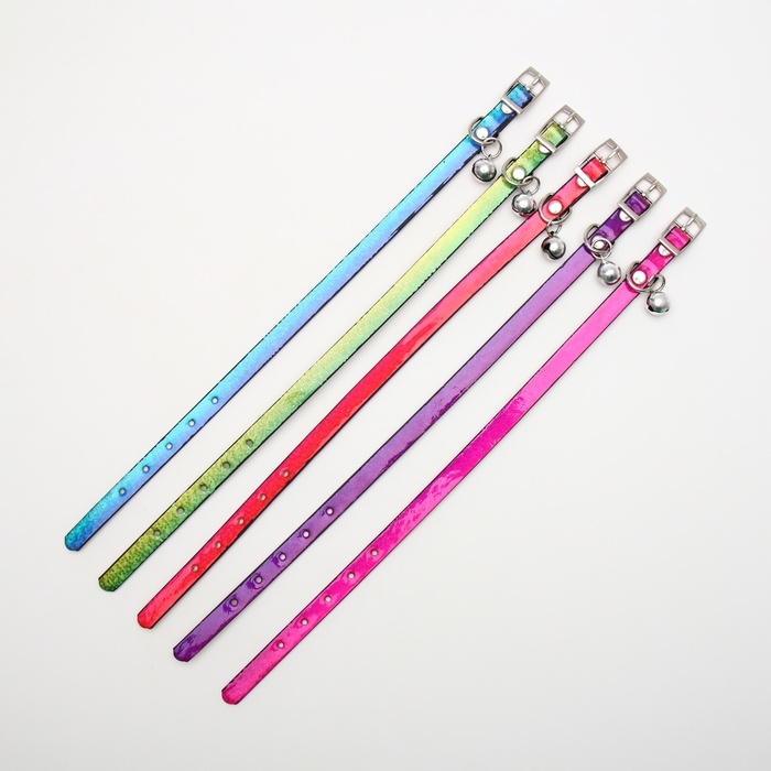 Ошейник лаковый Ошейник лаковый "Радуга", 30 х 1 см, микс