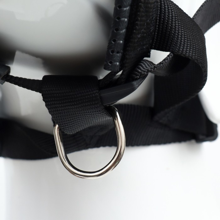 Недоуздок-намордник для собак с подкладом, размер XL, ОM 23-34 см, ОШ 20-28 см, черный Недоуздок-намордник для собак с подкладом, размер XL, ОM 23-34 см, ОШ 20-28 см, черный