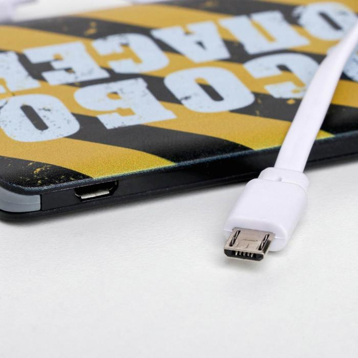 Зарядное устройство &laquo;Особо опасен&raquo;, 2500 mAh, 6 х 9,5 см