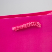 Пакет подарочный ламинированный, упаковка, &laquo;Фуксия&raquo;, MS 18 х 23 х 8 см