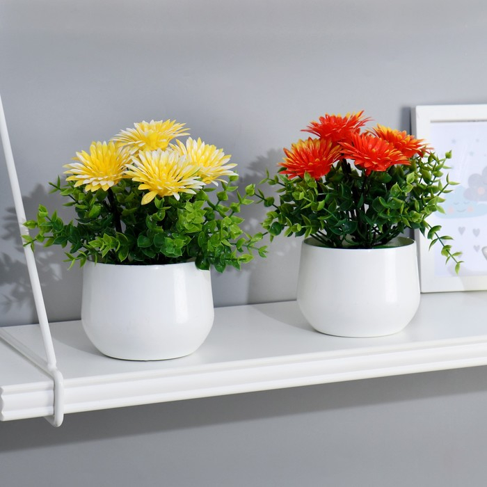 Бонсай в горшке "Хризантемки" 9х18 см, микс