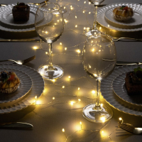 Гирлянда &laquo;Мишура&raquo; 10 м роса, IP20, серебристая нить, 200 LED, свечение тёплое белое, 12 В