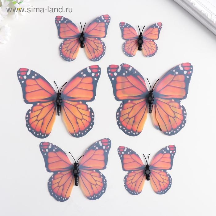 Магнит пластик под ткань Магнит пластик под ткань "Бабочки двойные, блеск" н-р 6 шт МИКС h= 10;10,5;5;6,7;8,4;6,7 см