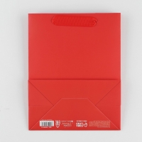 Пакет подарочный ламинированный, упаковка, &laquo;Красный&raquo;, MS 18 х 23 х 10 см