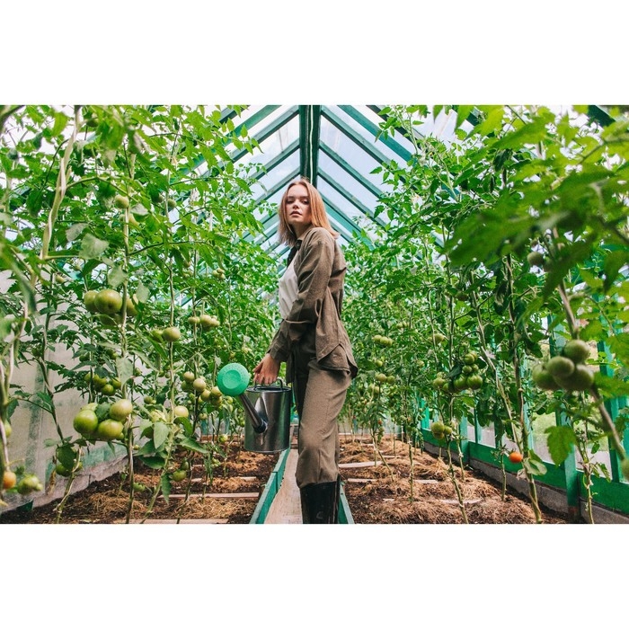 Лейка, 8 л, с рассеивателем, оцинкованная, носик d = 25 мм