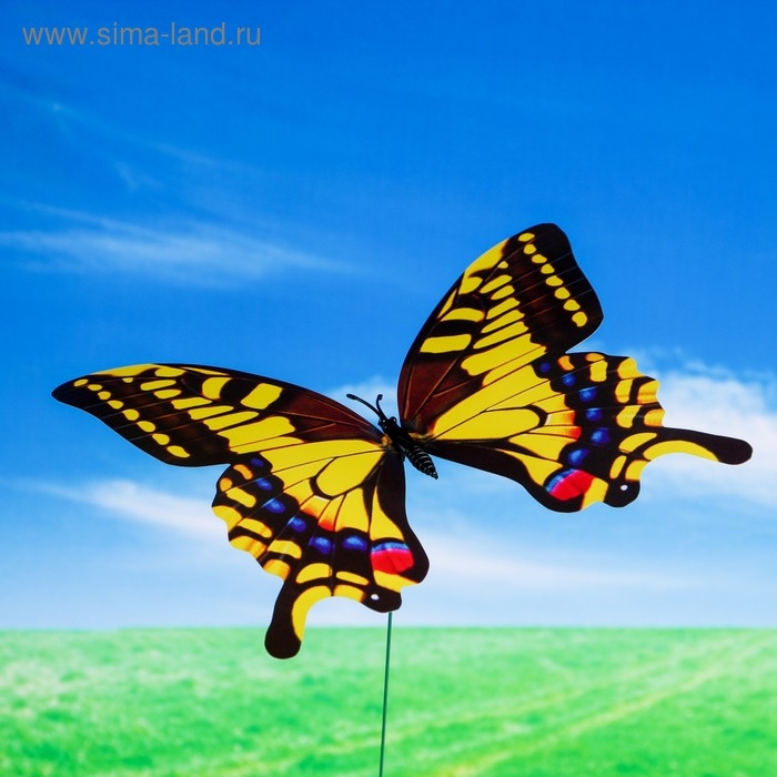 Штекер Штекер "Бабочка Альпина" 21х22см/42 см, МИКС