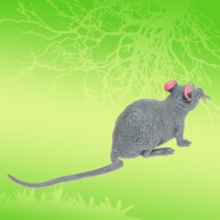 Фигурка-тянучка &laquo;Животные со всего света&raquo;, МИКС