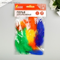 Перья декоративные "Карнавальные", 5-8 см (набор 24 шт) 6 цветов, яркие, ассорти Перья декоративные "Карнавальные", 5-8 см (набор 24 шт) 6 цветов, яркие, ассорти