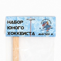 Клюшка для игры в хоккей "Мастер К", набор: клюшка 80 см, шайба 5.5 х 1.5 см, мяч d-7 см Клюшка для игры в хоккей "Мастер К", набор: клюшка 80 см, шайба 5.5 х 1.5 см, мяч d-7 см