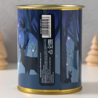 Копилка-банка металл "Волшебства"