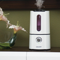 Увлажнитель воздуха Galaxy GL 8003, ультразвуковой, 35 Вт, 2.5 л, 25 м2, белый Увлажнитель воздуха Galaxy GL 8003, ультразвуковой, 35 Вт, 2.5 л, 25 м2, белый