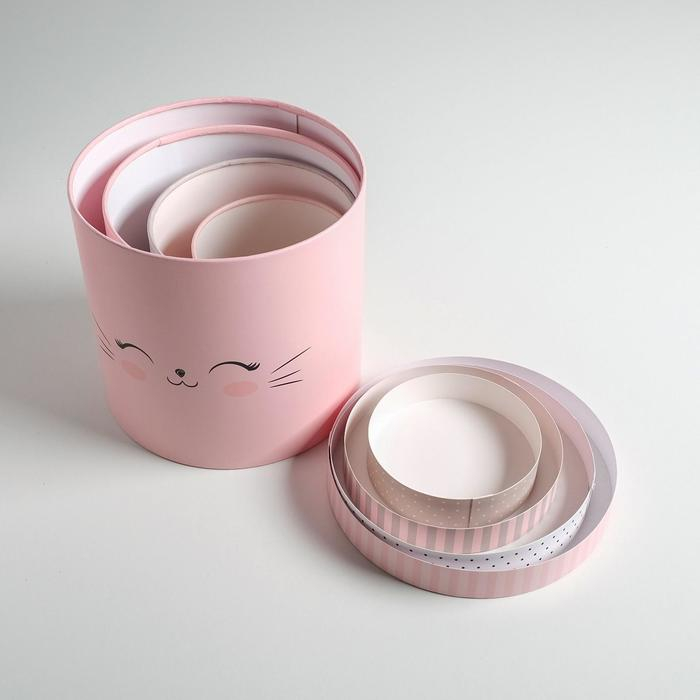 Набор коробок из тонкого картона 4 в 1, упаковка подарочная, &laquo;Мордочки&raquo;, 12 х 12 - 20 х 20 см