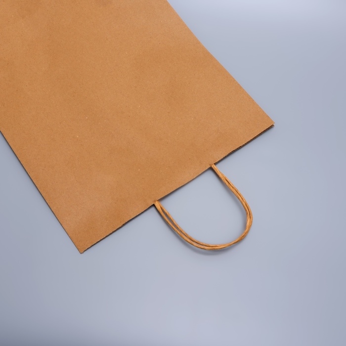 Пакет крафт без печати, круглая ручка, 31 х 12 х 42 см, 120 г Пакет крафт без печати, круглая ручка, 31 х 12 х 42 см, 120 г