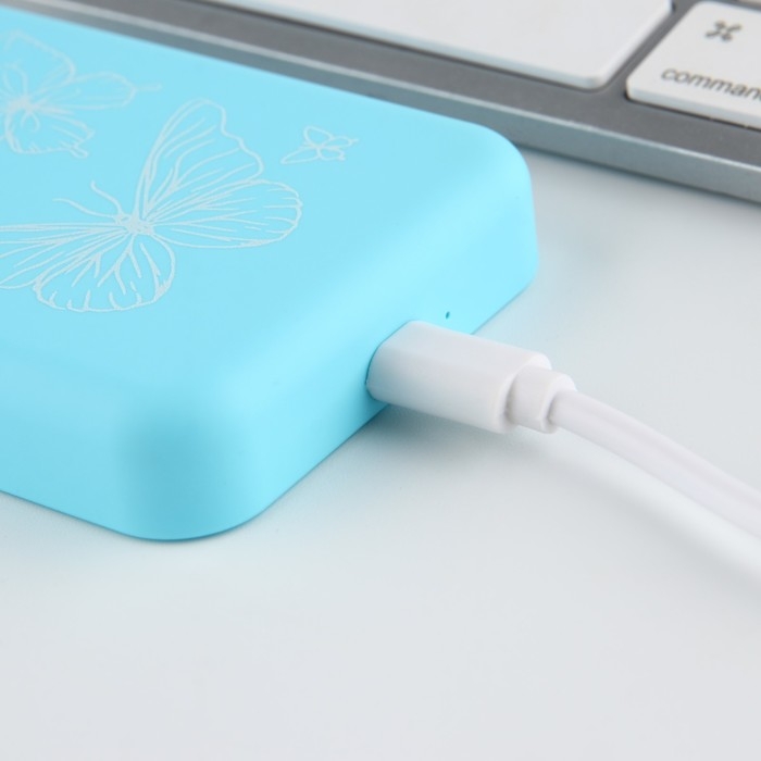 Зарядное устройство &laquo;Бабочки&raquo;, 5000мА