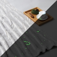 Плед светящийся в темноте Этель Candy cane 200*220 см,100% п/э, корал-флис, 220 гр/м2 Плед светящийся в темноте Этель Candy cane 200*220 см,100% п/э, корал-флис, 220 гр/м2