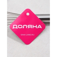 Венчик для взбивания Доляна &laquo;Стандарт&raquo;, 30&times;6,5 см, цвет серебристый