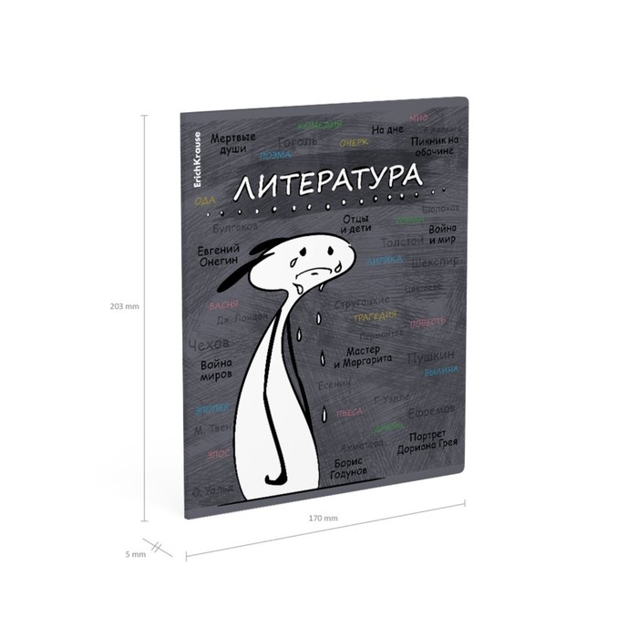 Тетрадь предметная ЛИТЕРАТУРА, 48 листов в линейку, ErichKrause Тетрадь предметная ЛИТЕРАТУРА, 48 листов в линейку, ErichKrause "Чубрик", пластиковая обложка, шелкография, блок офсет 100% белизна, инфо-блок