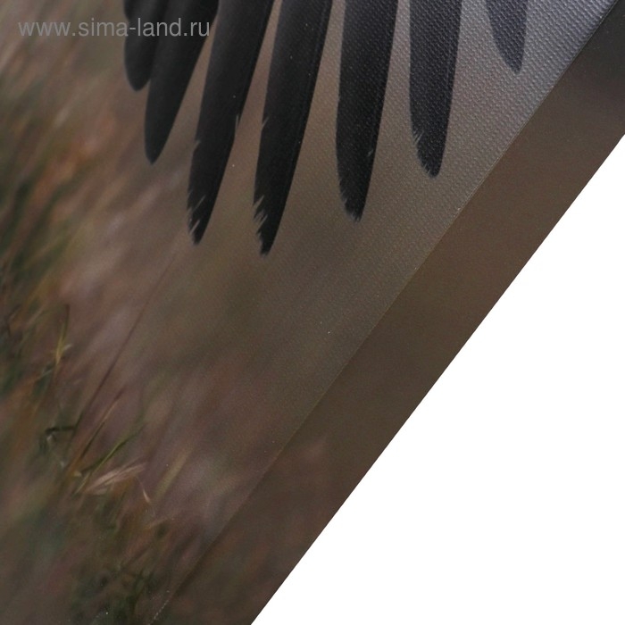 Картина-холст на подрамнике "Перед прыжком" 60х100 см