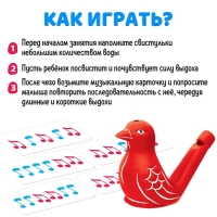 Развивающий набор &laquo;Музыкальные свистульки&raquo;