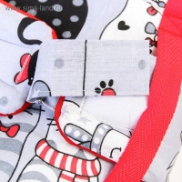 Прыгунки №1, 2в1, «Киса», цвет МИКС Прыгунки №1, 2в1, «Киса», цвет МИКС