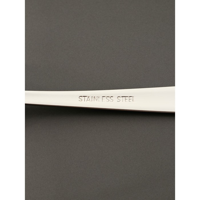 Ложка столовая из нержавеющей стали Magistro Bravo, длина 18 см, толщина 2 мм, цвет серебряный Ложка столовая из нержавеющей стали Magistro Bravo, длина 18 см, толщина 2 мм, цвет серебряный