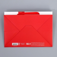 Пакет подарочный с широким дном, упаковка, &laquo;Подарок&raquo;, 20 х 14 х 13.2 см