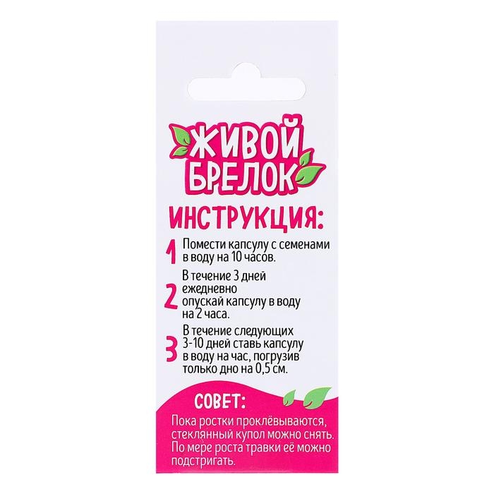 Набор для опытов «Живой брелок», мини-сад, вырасти сама Набор для опытов «Живой брелок», мини-сад, вырасти сама