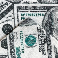 Постельное бельё &laquo;Этель&raquo; евро Cash 200х217 см, 220х240 см, 70х70 см -2 шт, бязь 125 г/м2