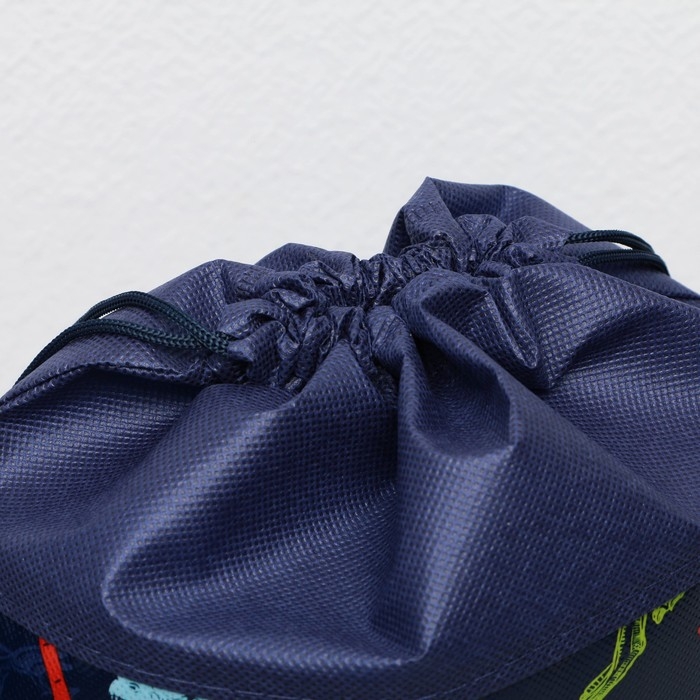 Мешок для обуви &laquo;Динозавр: Дино&raquo; полиэстер, размер 30 х 40 см