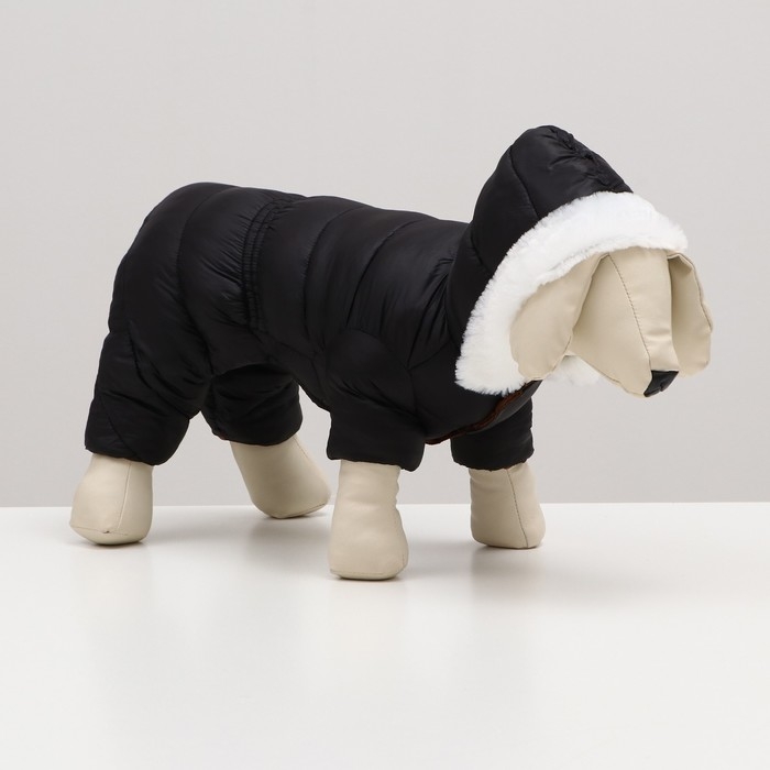 Комбинезон Комбинезон "Лайв" с утяжкой, размер 16 (ДС 36 см, ОГ 46 см, ОШ 35 см), чёрный