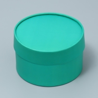 Коробка подарочная, упаковка, «Мята», 13 х 9 см Коробка подарочная, упаковка, «Мята», 13 х 9 см