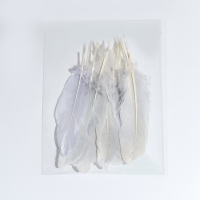 Перья для декора, серебро полная окраска , 13-15 см 10 шт Перья для декора, серебро полная окраска , 13-15 см 10 шт