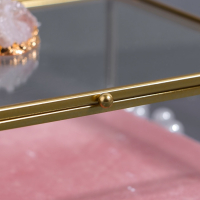 Органайзер для хранения &laquo;Кристалл&raquo;, с крышкой, стеклянный, 1 секция, 20 &times; 16,8 &times; 9 см, цвет прозрачный/медный/розовый