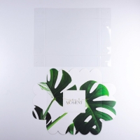 Коробка для печенья, кондитерская упаковка с PVC крышкой, «Эко», 20 х 30 х 8 см Коробка для печенья, кондитерская упаковка с PVC крышкой, «Эко», 20 х 30 х 8 см