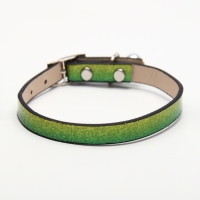 Ошейник лаковый "Радуга", 30 х 1 см, микс Ошейник лаковый "Радуга", 30 х 1 см, микс