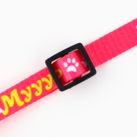 Ошейник для кошек с фастексом «Glaмур», 30 х 1 см Ошейник для кошек с фастексом «Glaмур», 30 х 1 см