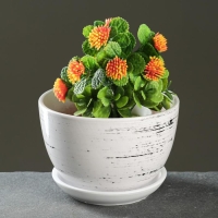 Горшок цветочный "День" 0,75л Горшок цветочный "День" 0,75л