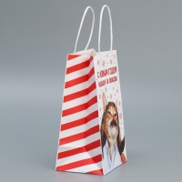 Пакет подарочный новогодний крафтовый &laquo;За любовь&raquo;, 12 х 21 х 9 см, Новый год