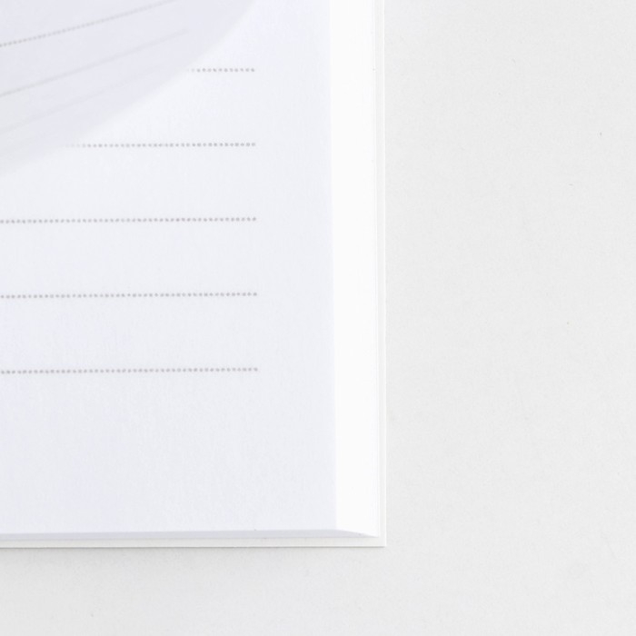 Ежедневник А5, 80 л &laquo;Россия&raquo;