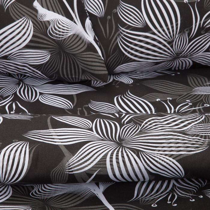 Постельное бельё Этель Евро &laquo;Сумерки&raquo; 200х217 см, 220х240 см, 70х70 см-2 шт, 100% хлопок, бязь