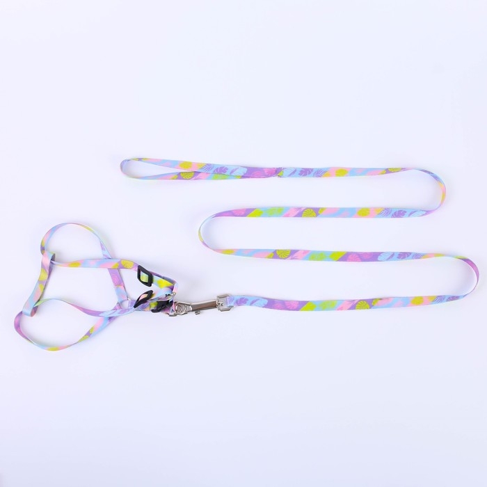 Комплект &laquo;Листья&raquo;, шлейка 24-36 см, поводок 120х1 см