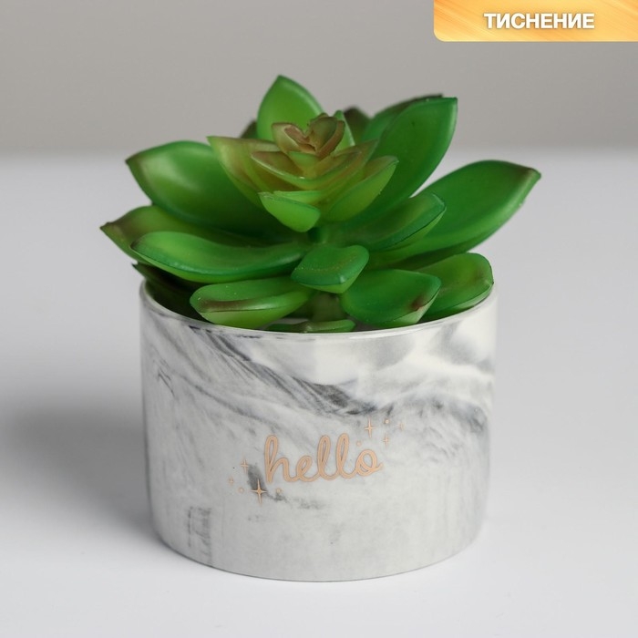 Горшок для цветов керамический, кашпо &laquo;Счастье&raquo; 5,5 х 8 см