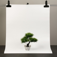 Фотофон для предметной съёмки "Белый" ПВХ, 100 х 70 см Фотофон для предметной съёмки "Белый" ПВХ, 100 х 70 см