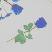 Наклейки пластик "Цветы и цитаты. Голубые" набор 12 шт 8,5х21,5х0,2 см