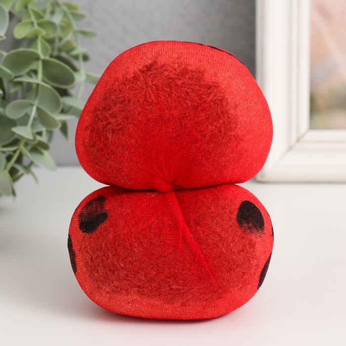 Растущий подарок травка Вырастайка  &laquo;Божья коровка"