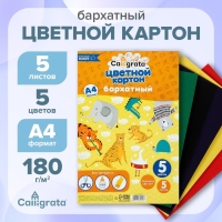 Картон бархатный А4, 5 листов, 5 цветов, 180 г/м2 Картон бархатный А4, 5 листов, 5 цветов, 180 г/м2
