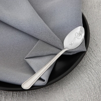 Ложка сувенирная &laquo;Омск&raquo;, с гравировкой, 3 х 14 см