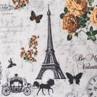 Постельное бельё "Этель" дуэт Парижские сезоны 143х215 см - 2 шт., 240х220 см, 70х70 см - 2 шт., 100% хлопок, бязь 125 г/м&sup2;