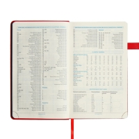 Ежедневник недатированный А5, 136 листов PREMIER, твёрдая обложка, искусственная кожа, ляссе, магнитный хлястик, бежевый блок 70 г/м2, красный